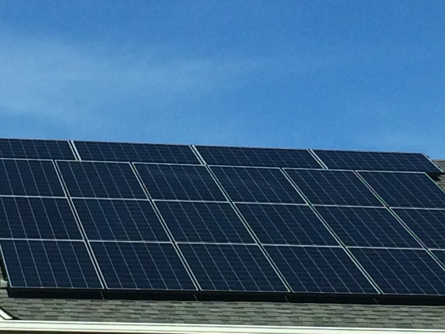 Annual Fundraising Gala Raises Record Amount